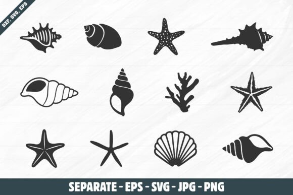 Download Sea Shell Silhouettes, Sea Shell Svg - Silhouette Collection