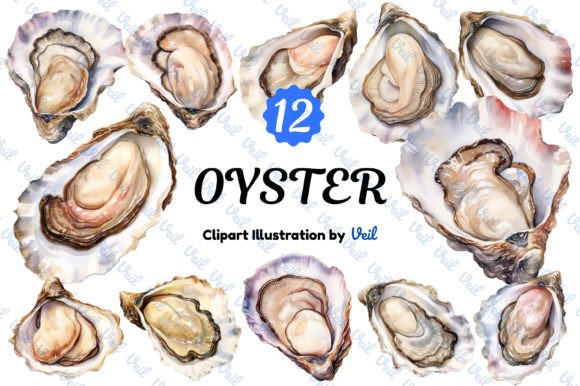 Download Oyster Clipart Watercolor Bundle - Oyster Collection