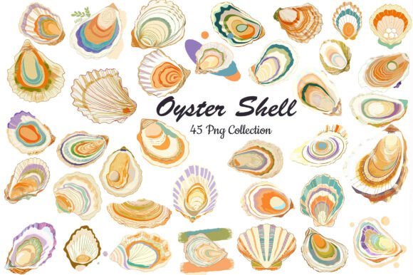 Download Watercolor Oyster Shell Clipart - Oyster Collection