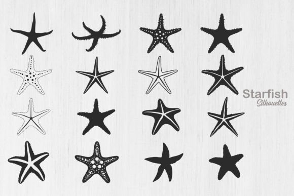 Download Starfish Silhouette, Starfish Icon - Silhouette Collection